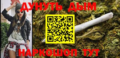 тгк Кингисепп
