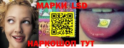 mdpv Камышлов