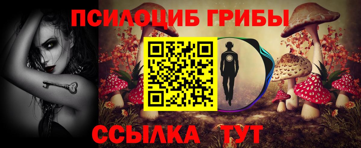 Галлюциногенные грибы мухоморы Лабытнанги